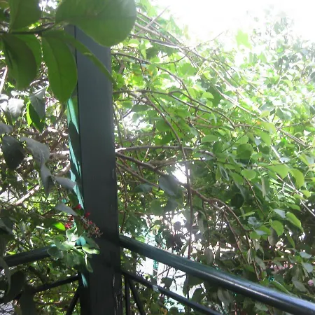 Dom wakacyjny Sissy By The Sea *